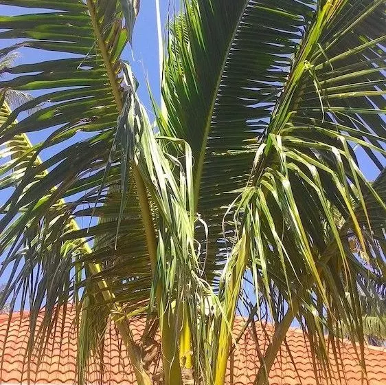 Majatalo Rawai Garden Bungalows