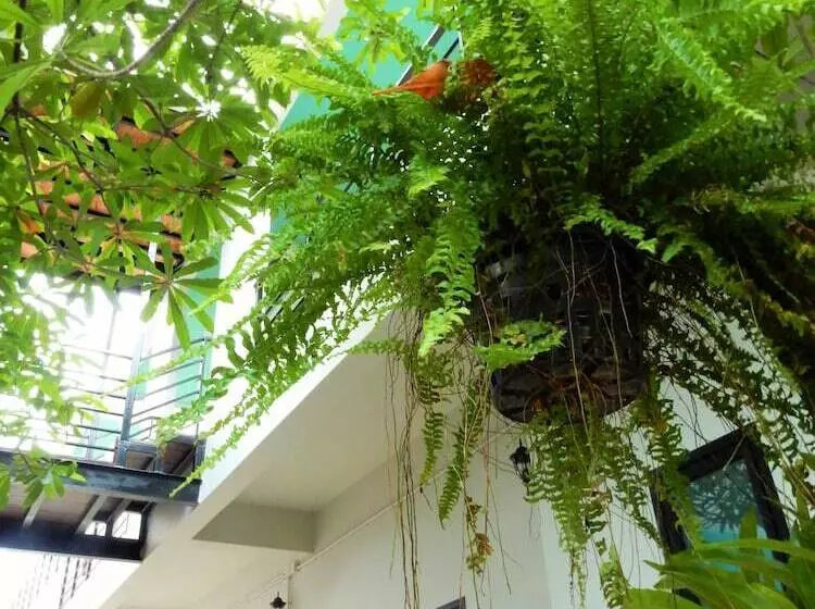 Wandee Bed And Breakfast Hostel