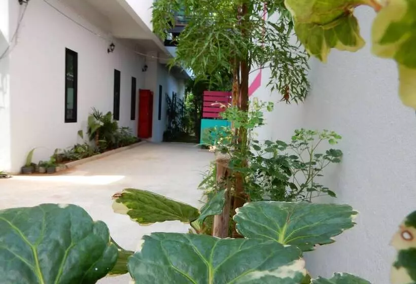 Wandee Bed And Breakfast Hostel