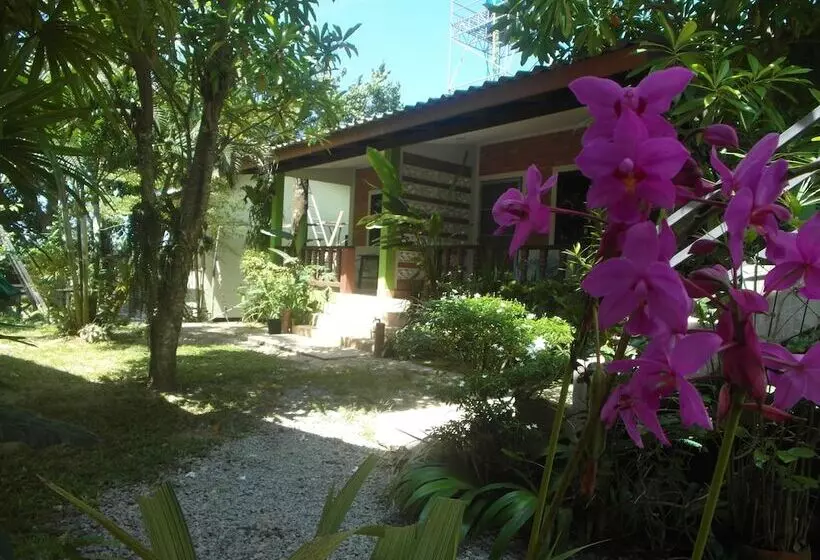 Wandee Bed And Breakfast Hostel