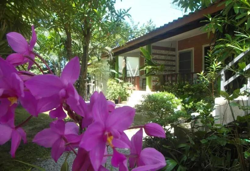 Wandee Bed And Breakfast Hostel