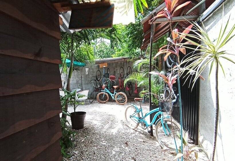 هتل کپسول Eco Rooms Tulum