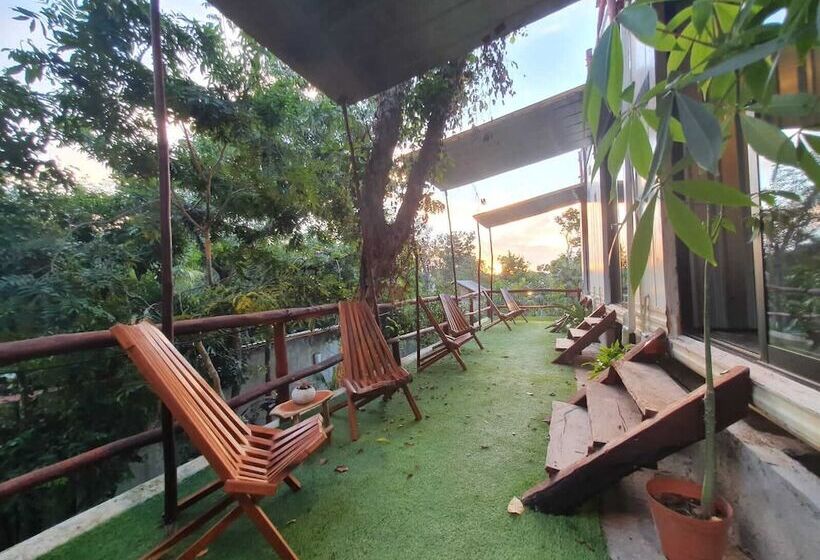 هتل کپسول Eco Rooms Tulum