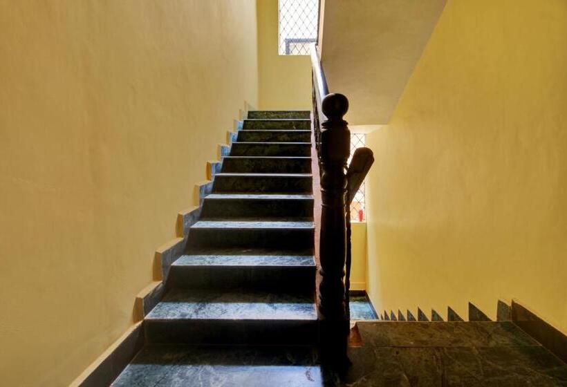 호텔 Oyo Flagship 81058 Rose Guesthouse