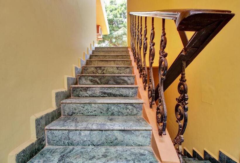 호텔 Oyo Flagship 81058 Rose Guesthouse