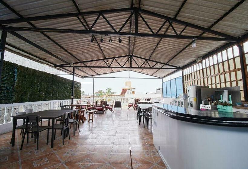 Hostel Hostal Gardner