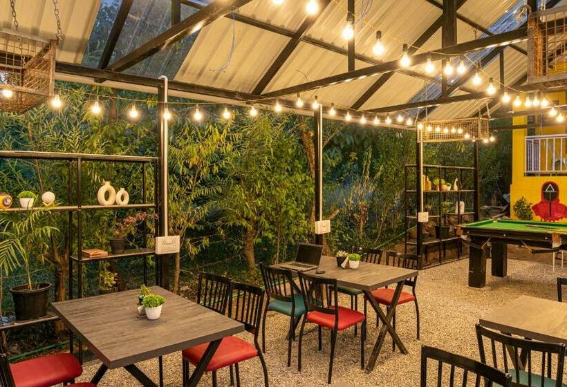 בית מלון כפרי Whoopers Hostel Manali