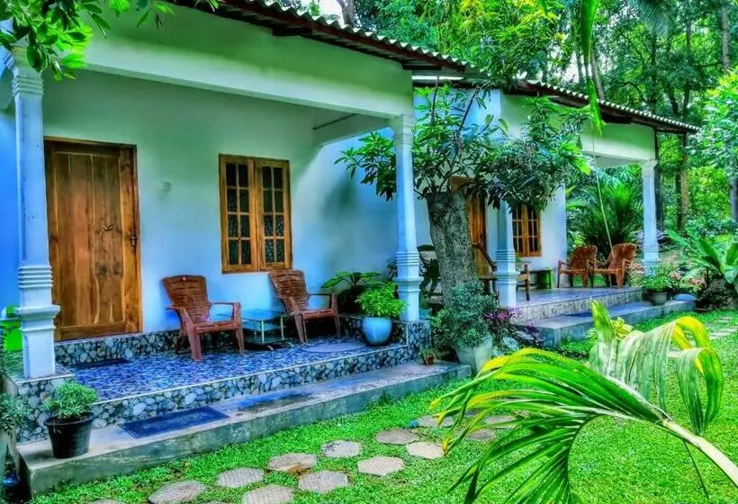 Pension Dambulla Shan Inn