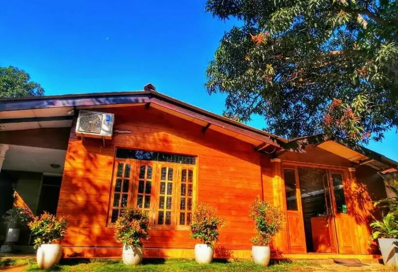 Pension Dambulla Shan Inn
