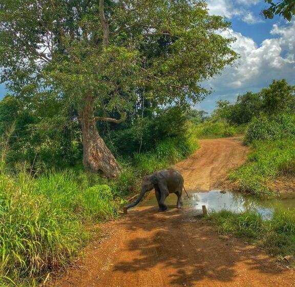 Pensão Dambulla Shan Inn
