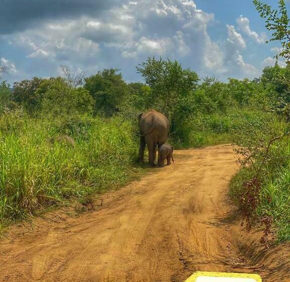Pensão Dambulla Shan Inn