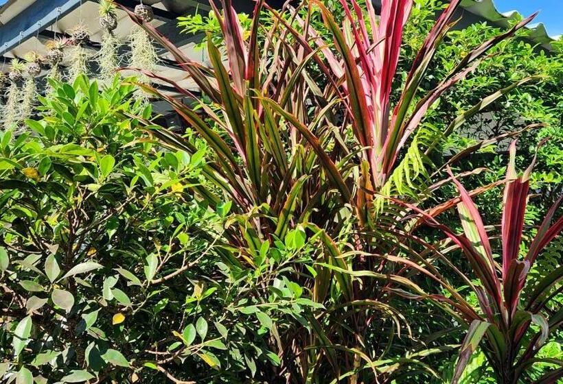 پانسیون Islandlife Bungalows