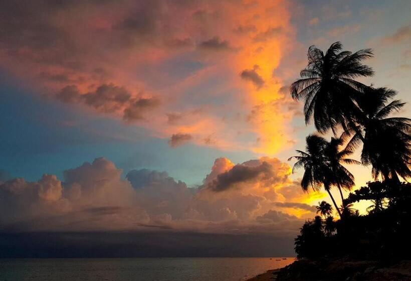 پانسیون Islandlife Bungalows