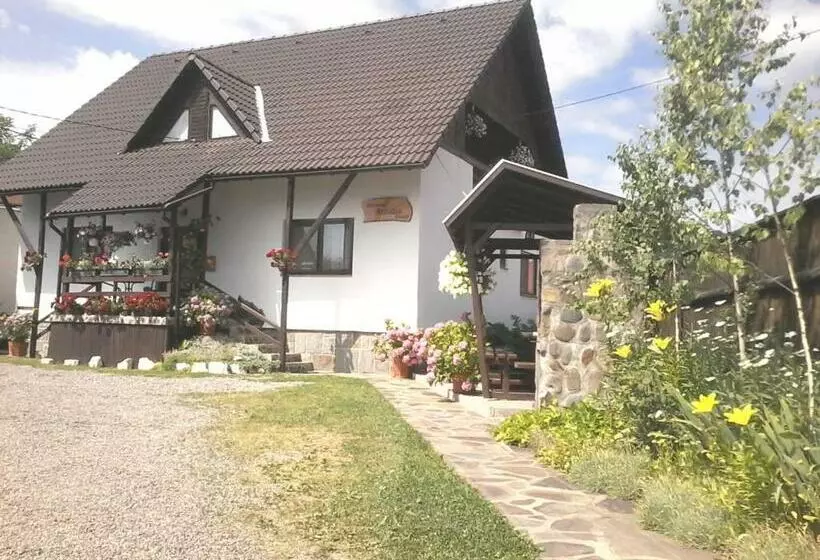 Aamiaismajoitus (B&B) Pensiunea Amalia Panzió
