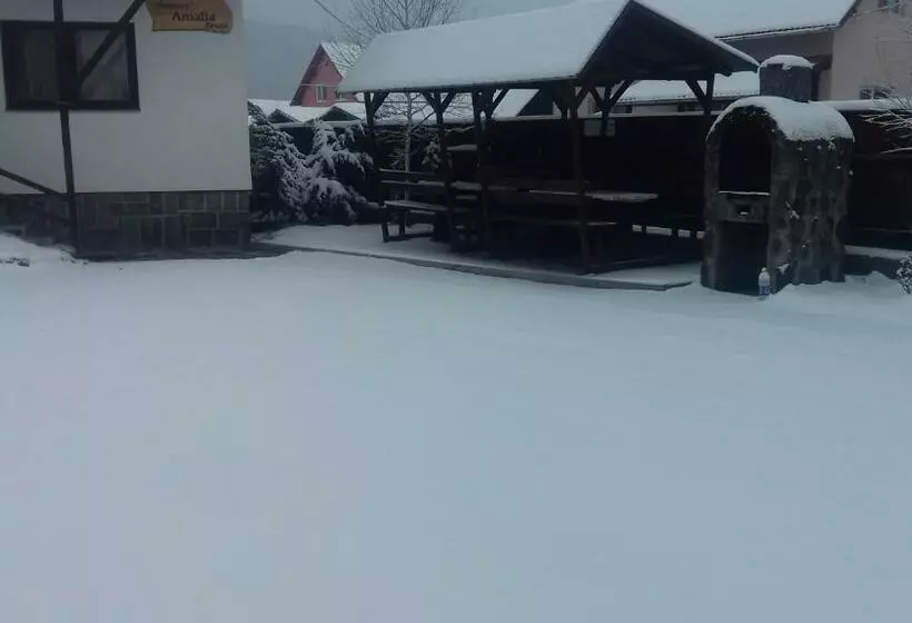 Aamiaismajoitus (B&B) Pensiunea Amalia Panzió