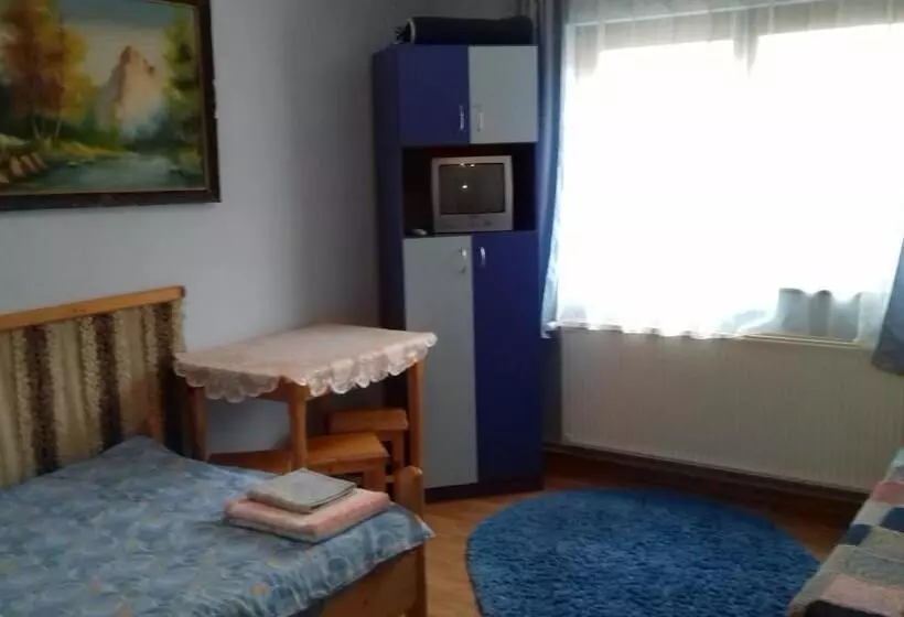 Aamiaismajoitus (B&B) Pensiunea Amalia Panzió