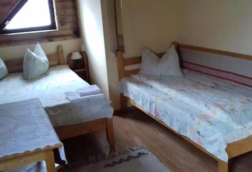 Aamiaismajoitus (B&B) Pensiunea Amalia Panzió