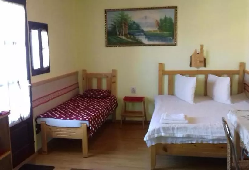 Aamiaismajoitus (B&B) Pensiunea Amalia Panzió