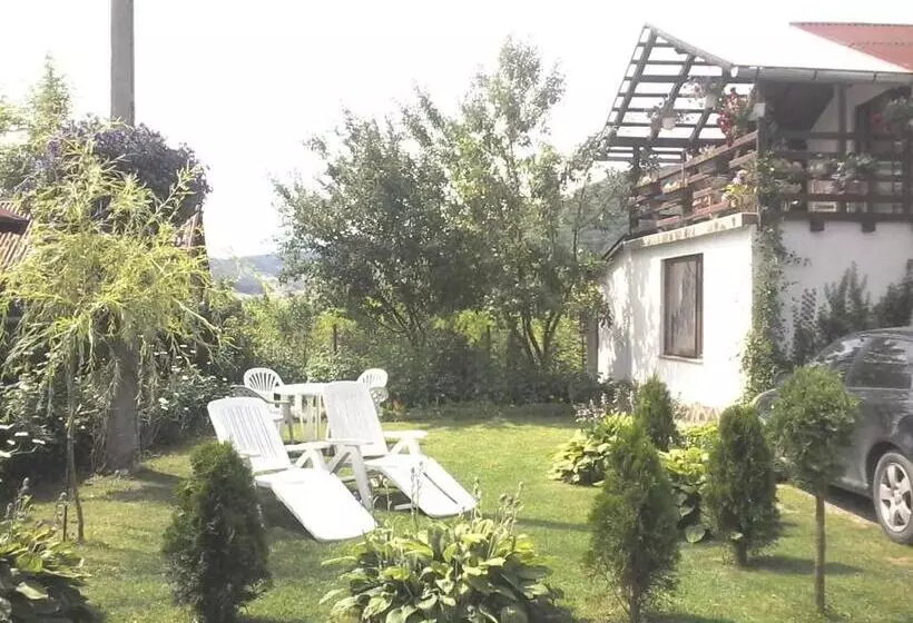 Aamiaismajoitus (B&B) Pensiunea Amalia Panzió