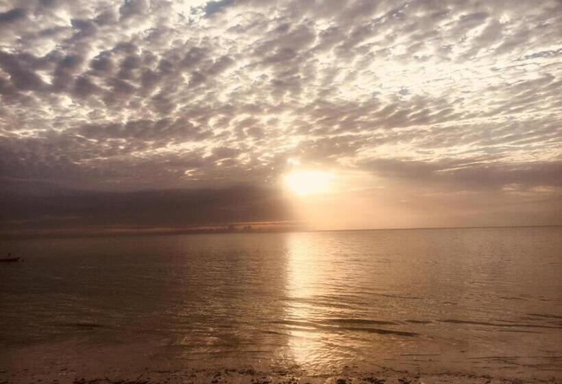 بنسيون Vanilla House