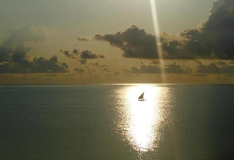 بنسيون Vanilla House