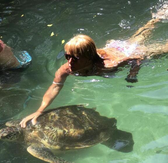 بنسيون Vanilla House