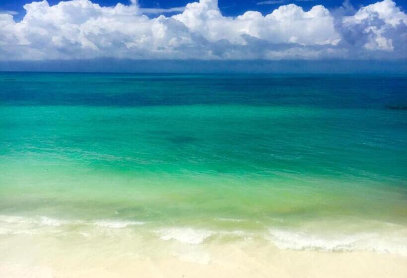 بنسيون Vanilla House