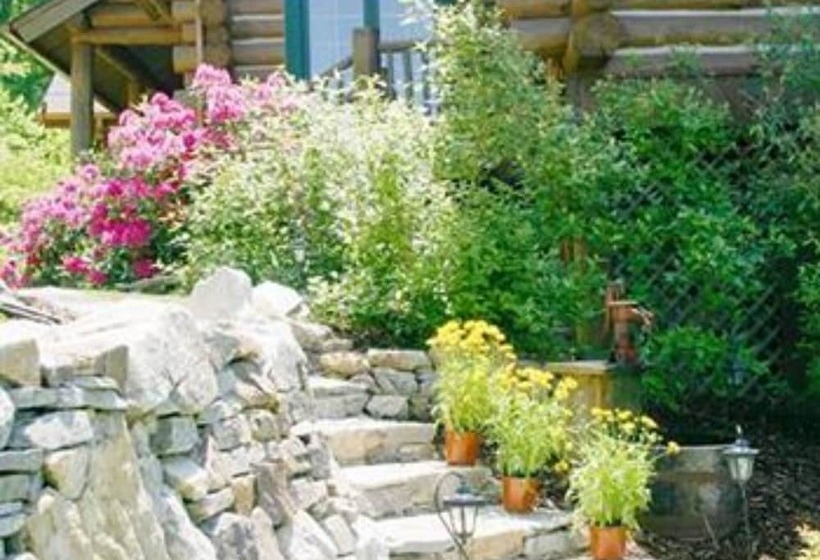 צימר Wildberry Lodge