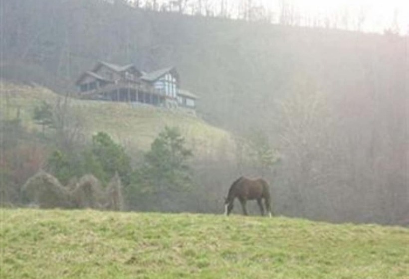 צימר Wildberry Lodge