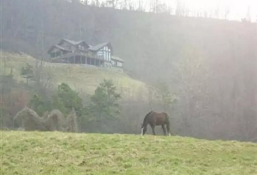 住宿加早餐  Wildberry Lodge