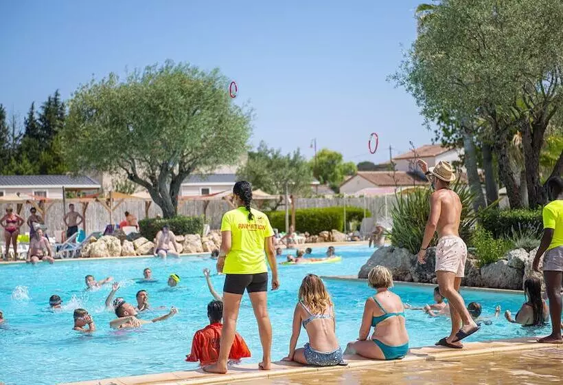 Domaine Le Clos Des Oliviers