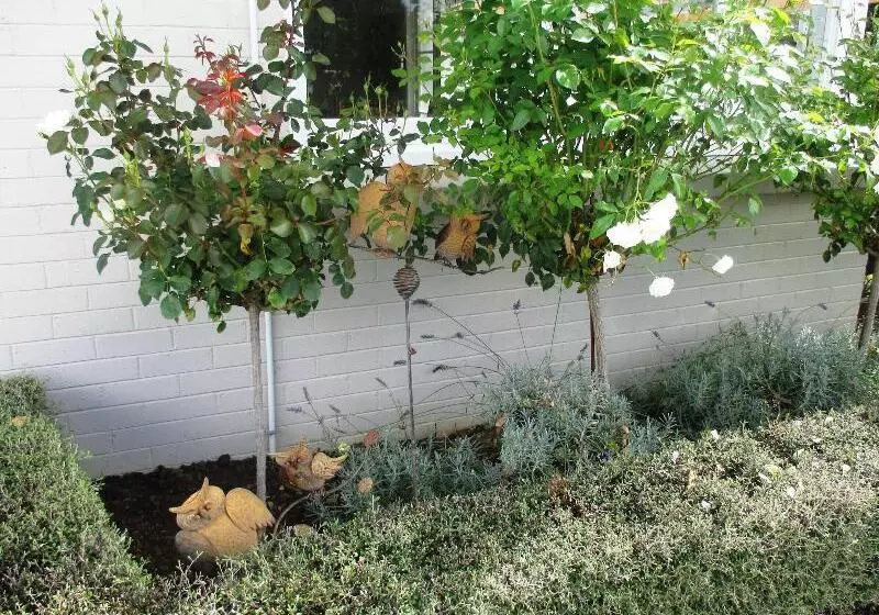 Fatowl Motel, Bar & Eatery