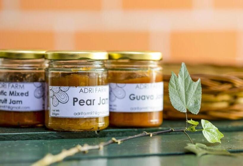 בית מלון כפרי Altius Nest