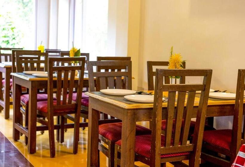 בית מלון כפרי Altius Nest