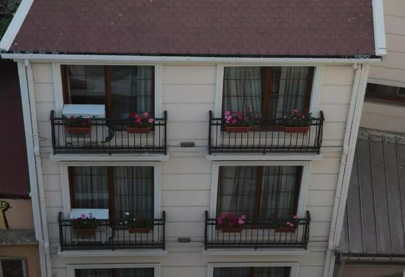 هتل Art Nouveau Galata
