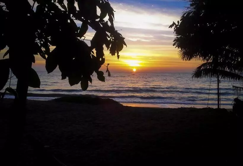 ペンション Catamaran Beach Home And Restaurant