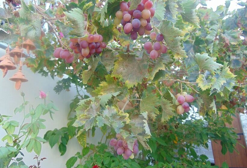 Charalambos Holiday Cottage