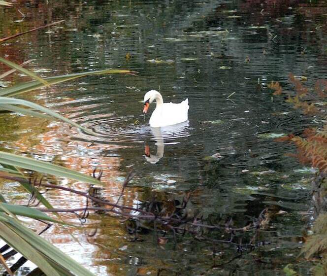 호텔 Avlon House Bed And Breakfast