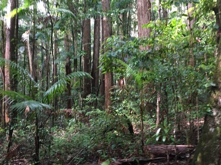 فندق Grange Resort Hervey Bay