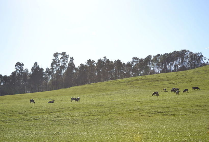 Отель Vila Peregrina