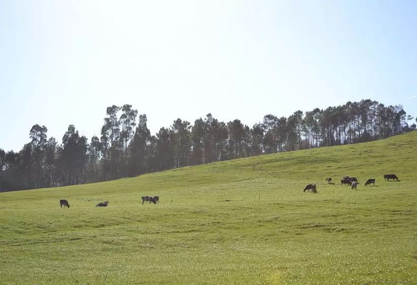 هتل Vila Peregrina