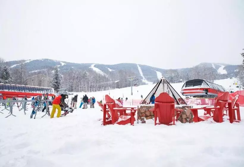 Отель Snow Cap Inn