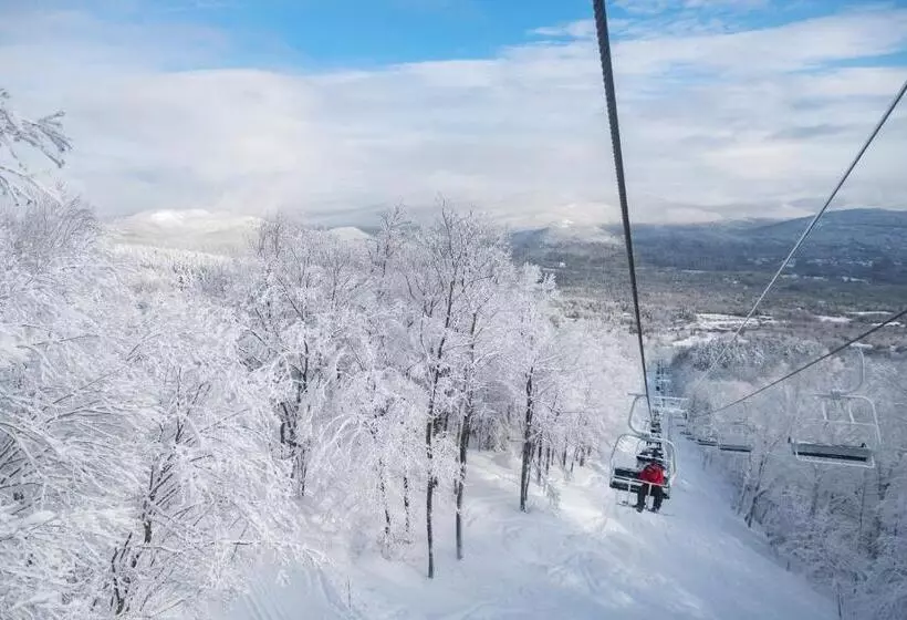 Отель Snow Cap Inn