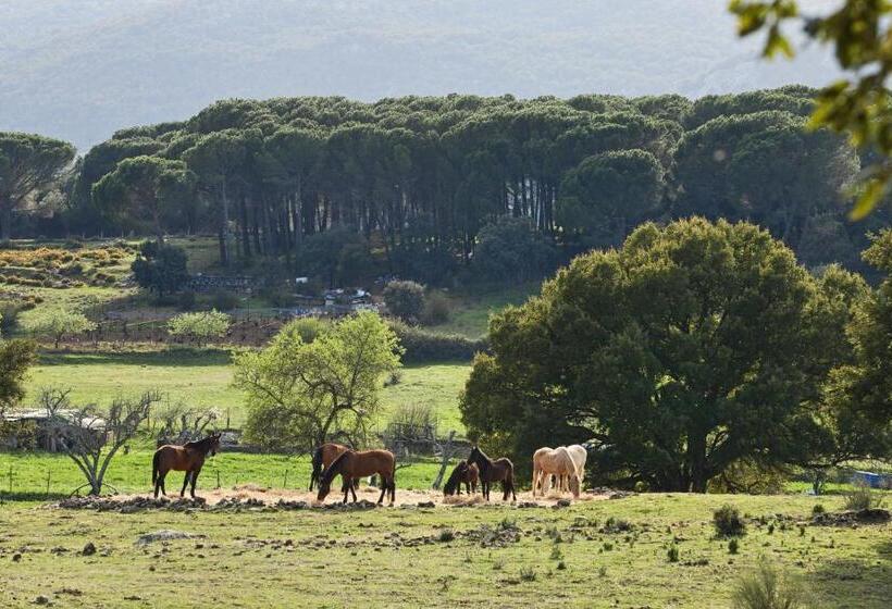 בית מלון כפרי Tambor Del Llano