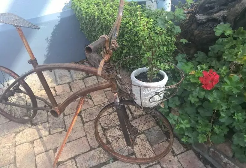 Olivier's Rust