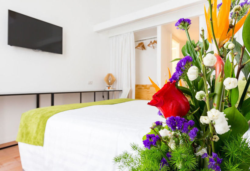 پانسیون Cancelleria Comfort Inn