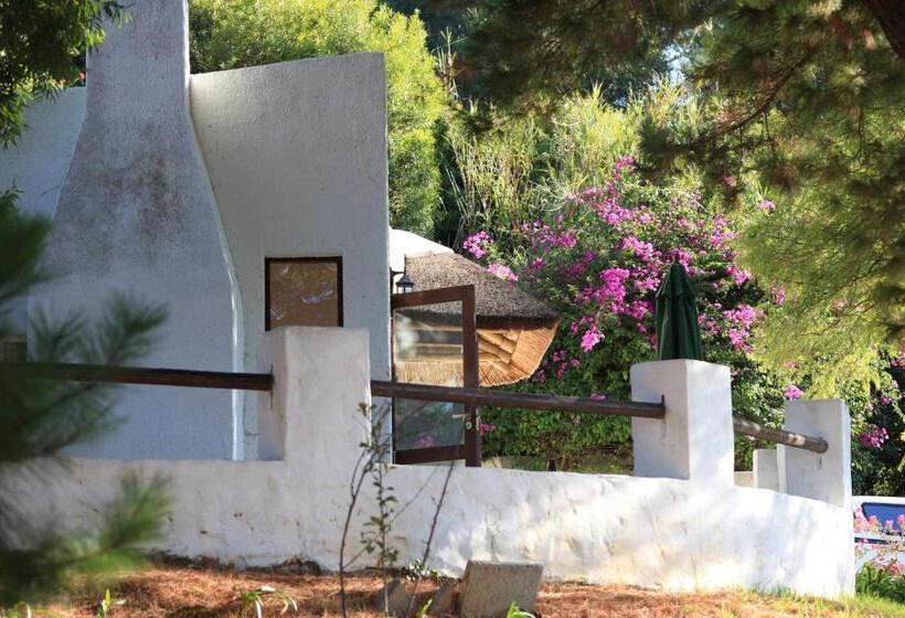 Pension De Molen Guest House