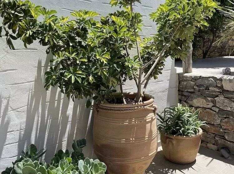 ペンション Speires Suites