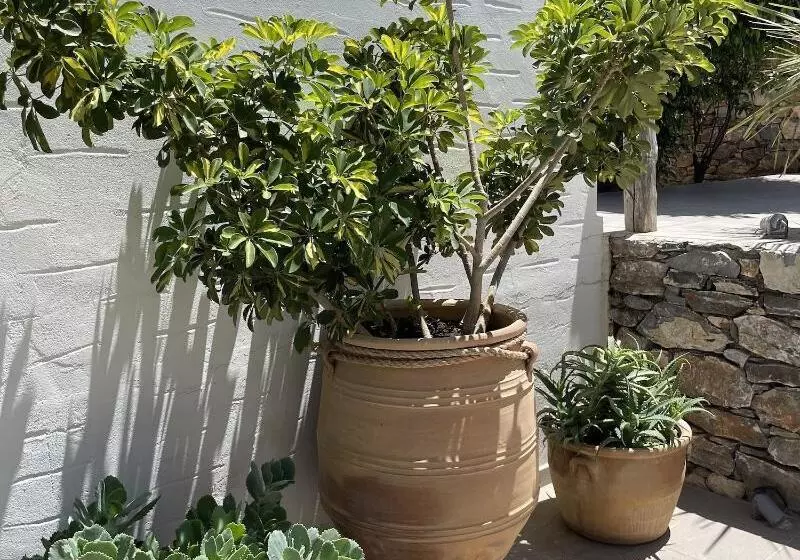 ペンション Speires Suites