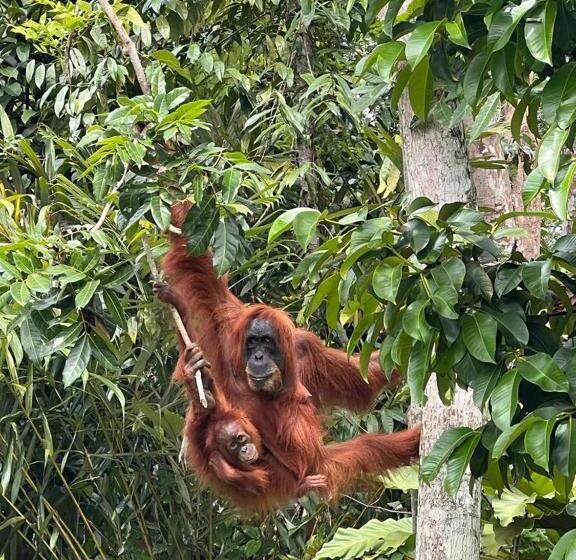 پانسیون Town Hostel